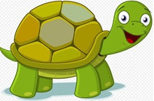 Grafika-żółw