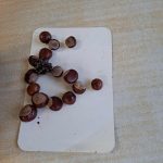 50716bb9-adc2-46c2-be94-69e984353434