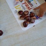 8749b49b-870f-4277-8d5c-184e5b5590a6