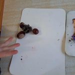 ebbea09f-740e-4895-b0d8-1a51d2fd80ae